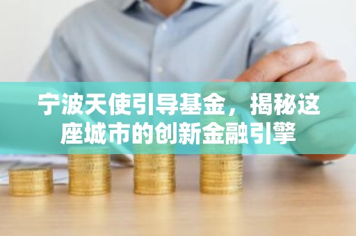 宁波天使引导基金，揭秘这座城市的创新金融引擎
