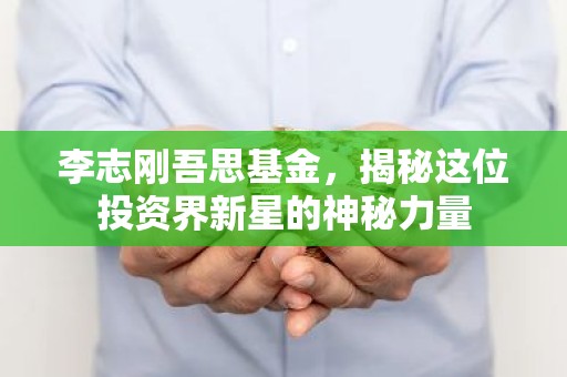 李志刚吾思基金，揭秘这位投资界新星的神秘力量
