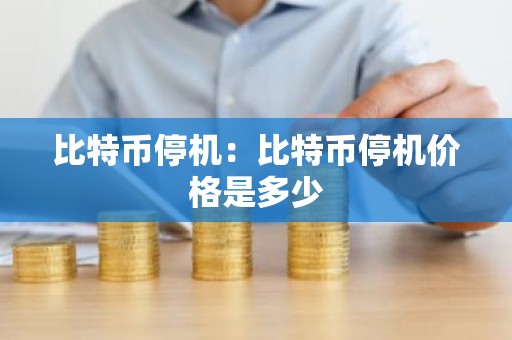 比特币停机：比特币停机价格是多少