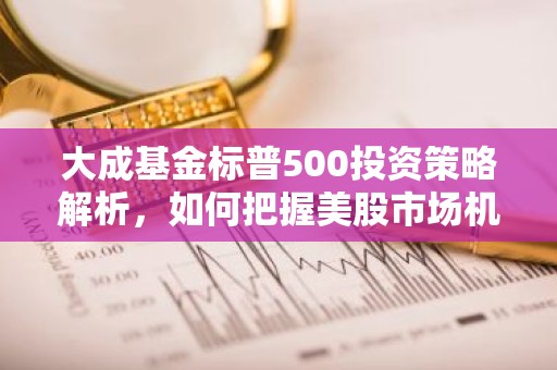大成基金标普500投资策略解析，如何把握美股市场机遇？