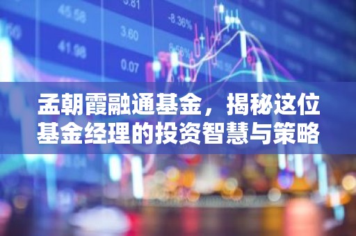 孟朝霞融通基金，揭秘这位基金经理的投资智慧与策略