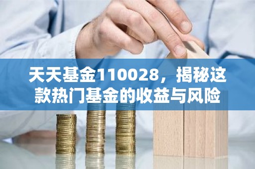 天天基金110028，揭秘这款热门基金的收益与风险