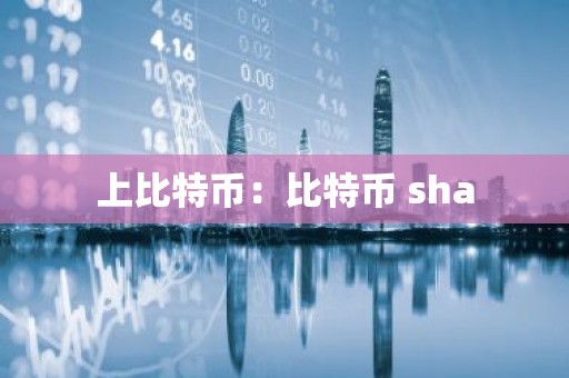 上比特币：比特币 sha