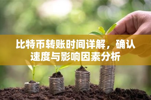 比特币转账时间详解，确认速度与影响因素分析