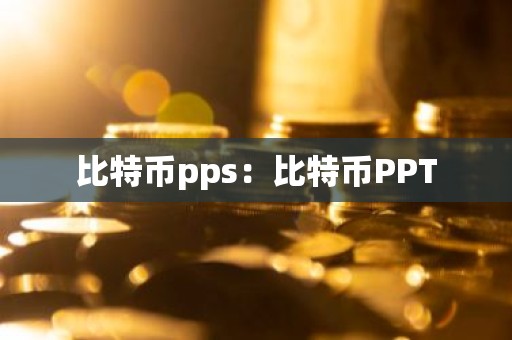 比特币pps：比特币PPT