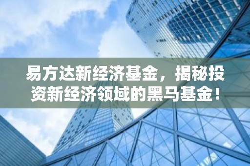 易方达新经济基金，揭秘投资新经济领域的黑马基金！