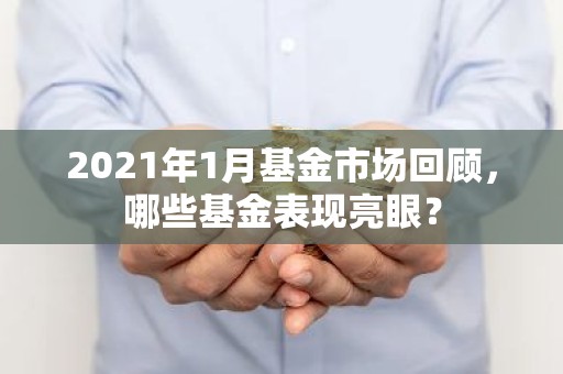 2021年1月基金市场回顾，哪些基金表现亮眼？