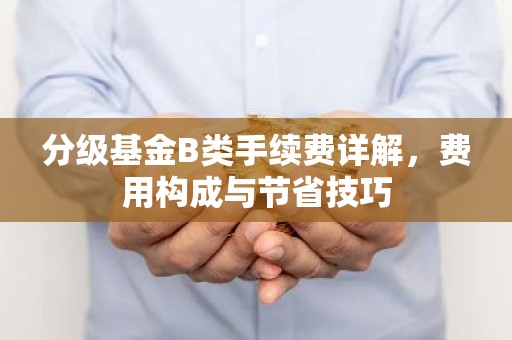 分级基金B类手续费详解，费用构成与节省技巧