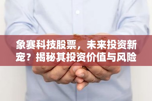 象赛科技股票，未来投资新宠？揭秘其投资价值与风险