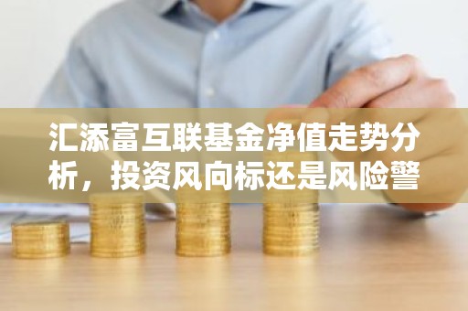 汇添富互联基金净值走势分析，投资风向标还是风险警示？