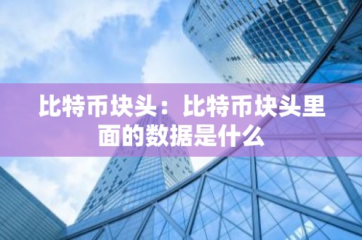 比特币块头：比特币块头里面的数据是什么