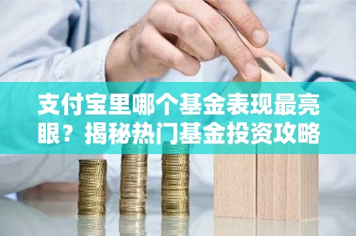 支付宝里哪个基金表现最亮眼？揭秘热门基金投资攻略！