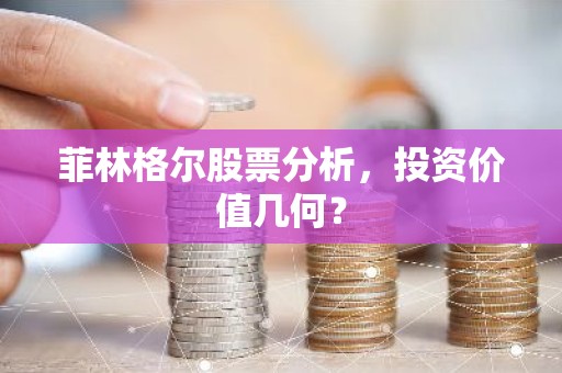 菲林格尔股票分析，投资价值几何？