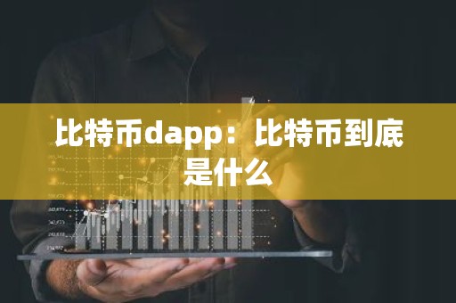 比特币dapp：比特币到底是什么