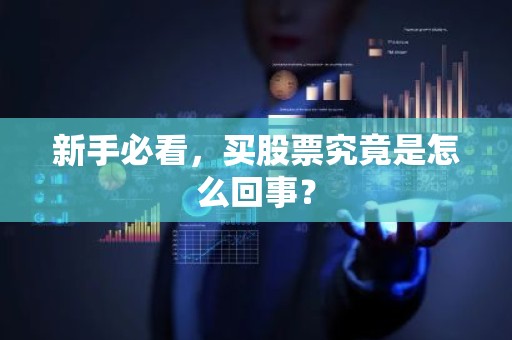 新手必看，买股票究竟是怎么回事？