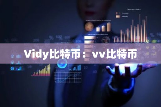 Vidy比特币：vv比特币