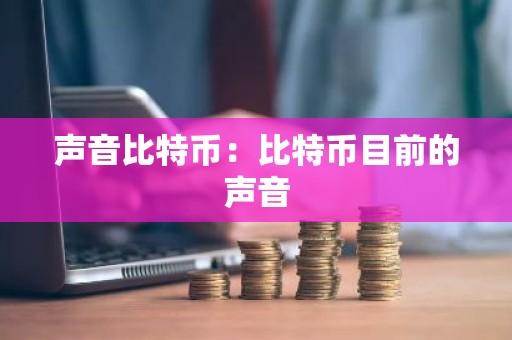 声音比特币：比特币目前的声音