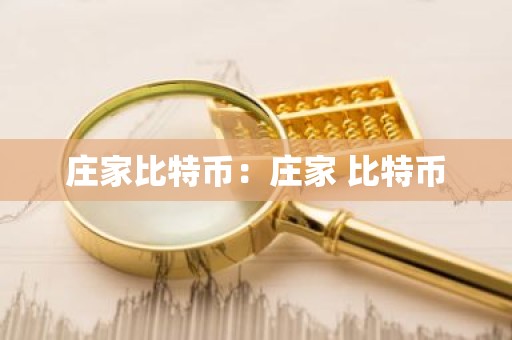 庄家比特币：庄家 比特币