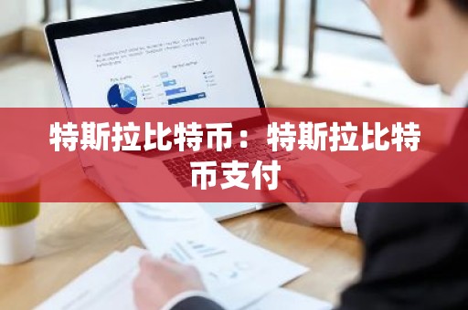 特斯拉比特币：特斯拉比特币支付