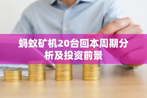 蚂蚁矿机20台回本周期分析及投资前景
