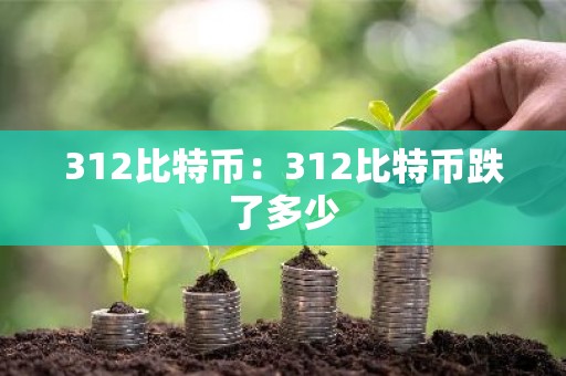 312比特币：312比特币跌了多少