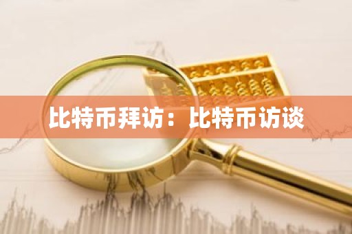 比特币拜访：比特币访谈