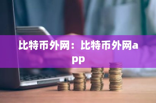 比特币外网：比特币外网app
