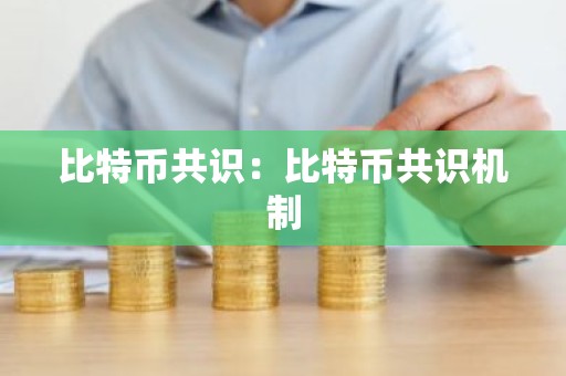 比特币共识：比特币共识机制