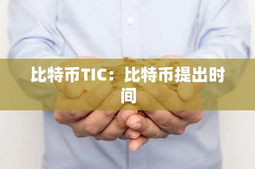 比特币TIC：比特币提出时间