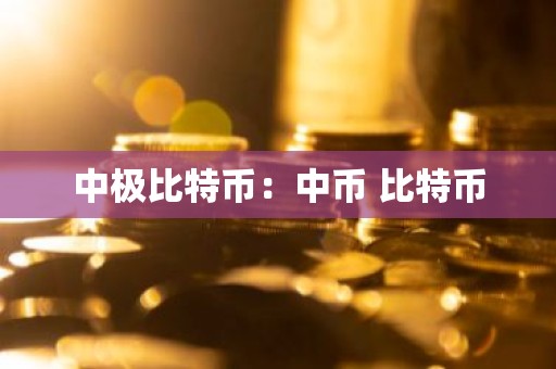 中极比特币：中币 比特币