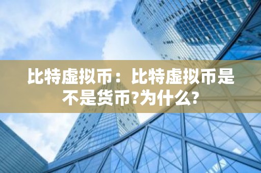 比特虚拟币：比特虚拟币是不是货币?为什么?