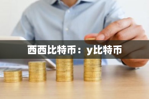 西西比特币：y比特币
