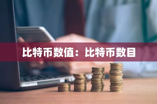 比特币数值：比特币数目