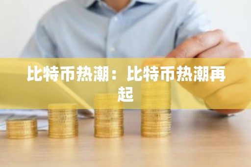 比特币热潮：比特币热潮再起