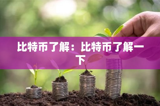 比特币了解：比特币了解一下