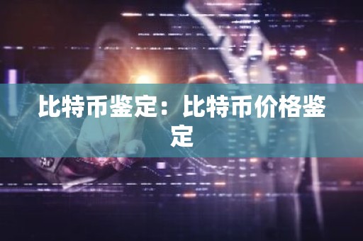 比特币鉴定：比特币价格鉴定