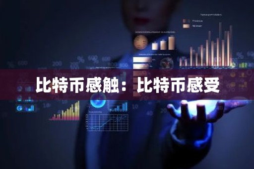 比特币感触：比特币感受