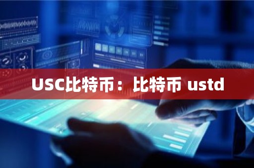 USC比特币：比特币 ustd