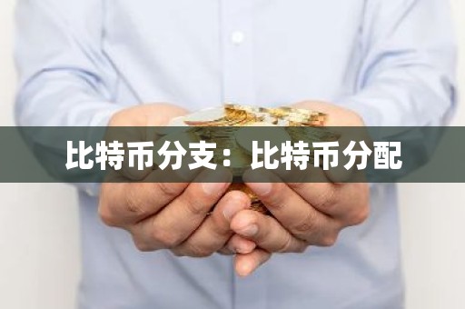 比特币分支：比特币分配