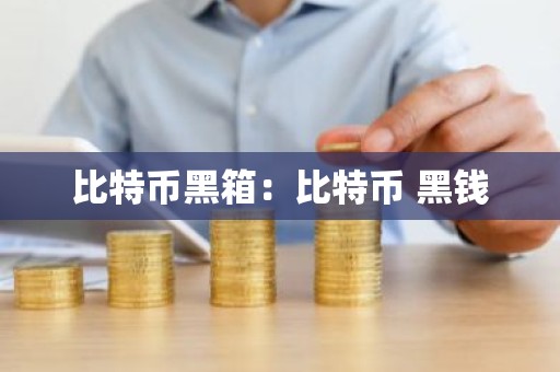 比特币黑箱：比特币 黑钱