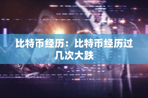 比特币经历：比特币经历过几次大跌