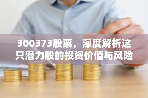 300373股票，深度解析这只潜力股的投资价值与风险