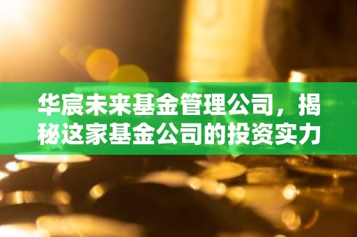 华宸未来基金管理公司，揭秘这家基金公司的投资实力与未来前景