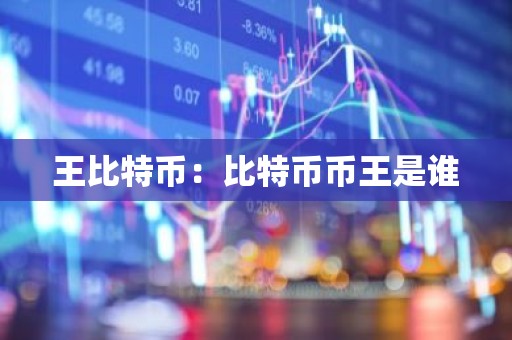 王比特币：比特币币王是谁