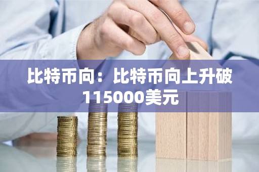 比特币向：比特币向上升破115000美元