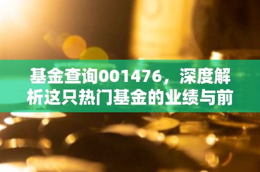 基金查询001476，深度解析这只热门基金的业绩与前景