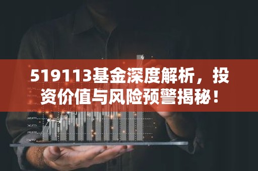519113基金深度解析，投资价值与风险预警揭秘！