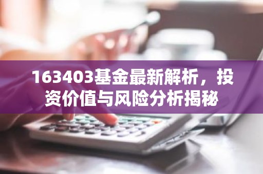 163403基金最新解析，投资价值与风险分析揭秘