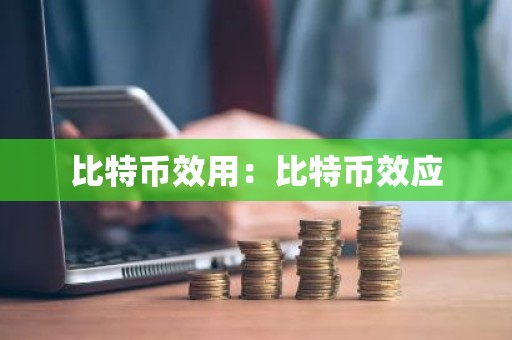 比特币效用：比特币效应