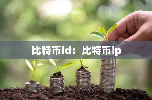 比特币id：比特币ip